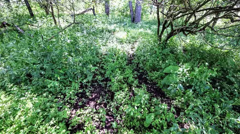Vl Block Rd, Coldwater, MI 49036 photo 38