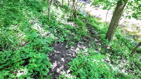Vl Block Rd, Coldwater, MI 49036 photo 57