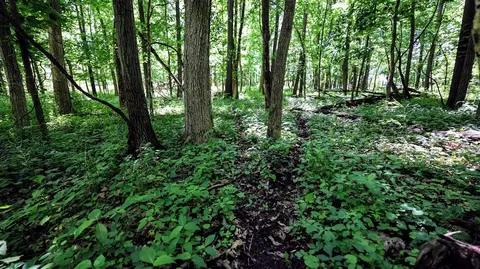 Vl Block Rd, Coldwater, MI 49036 photo 19