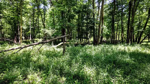 Vl Block Rd, Coldwater, MI 49036 photo 33