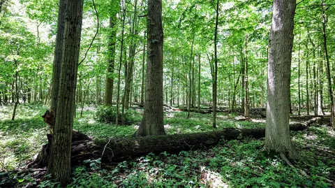 Vl Block Rd, Coldwater, MI 49036 photo 5