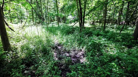 Vl Block Rd, Coldwater, MI 49036 photo 59