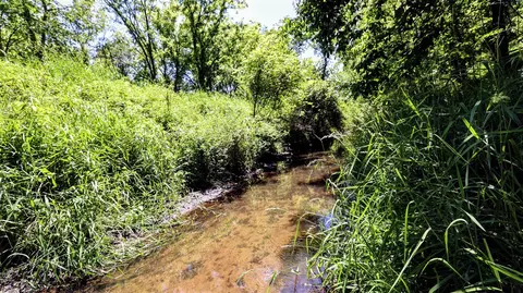 Vl Block Rd, Coldwater, MI 49036 photo 12