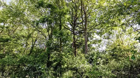 Vl Block Rd, Coldwater, MI 49036 photo 13