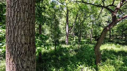 Vl Block Rd, Coldwater, MI 49036 photo 58