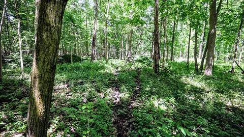 Vl Block Rd, Coldwater, MI 49036 photo 61