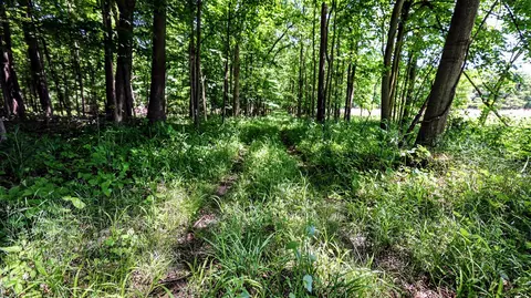 Vl Block Rd, Coldwater, MI 49036 photo 29