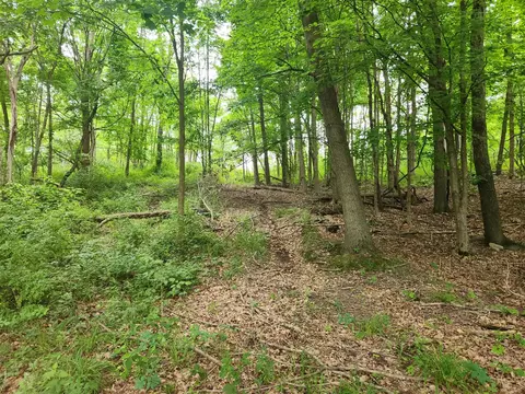 Vl N Ridge, Middleville, MI 49333