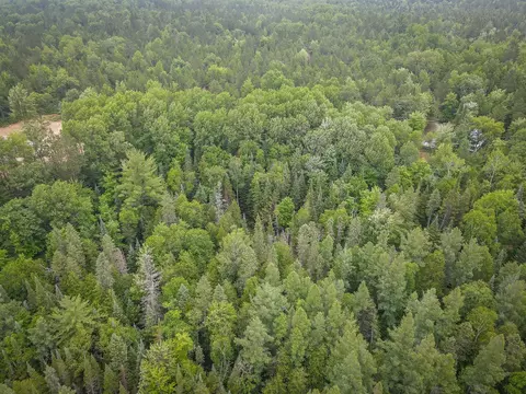 3304 Bear Paw, Indian River, MI 49749 photo 20