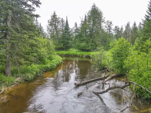 3304 Bear Paw, Indian River, MI 49749