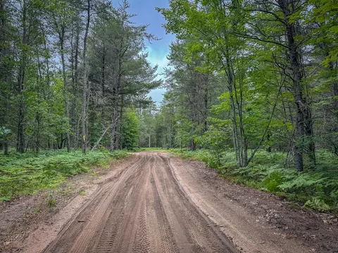 3304 Bear Paw, Indian River, MI 49749 photo 19