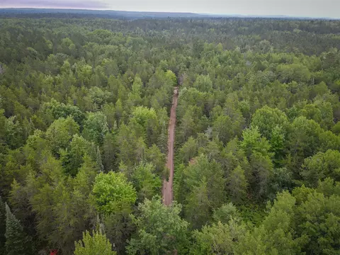 3304 Bear Paw, Indian River, MI 49749 photo 22