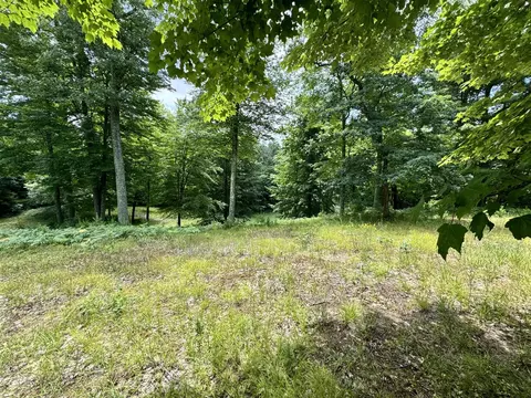 6162 E 52nd, Newaygo, MI 49337 photo 3