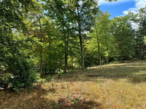 6162 E 52nd, Newaygo, MI 49337 photo 9