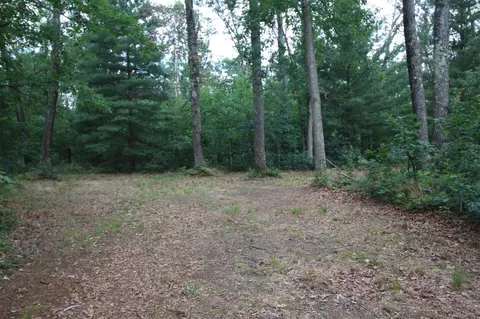 281 W Lexington, Baldwin, MI 49304 photo 14