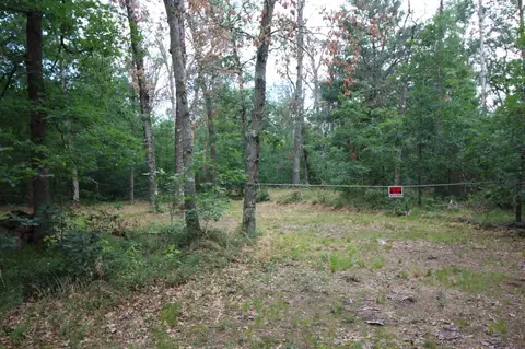 281 W Lexington, Baldwin, MI 49304 photo 2