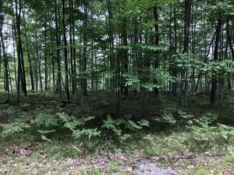 6231 Fox Run, Canadian Lakes, MI 49346