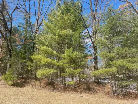 Lynn, Baldwin, MI 49304 photo 3