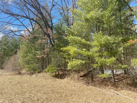 Lynn, Baldwin, MI 49304 photo 2