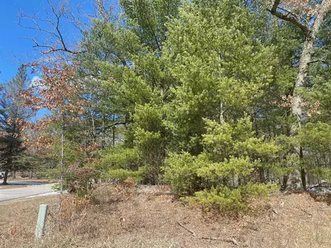 Lynn, Baldwin, MI 49304 photo 6