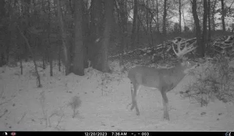5138 W 110th, Pullman, MI 49450 photo 3
