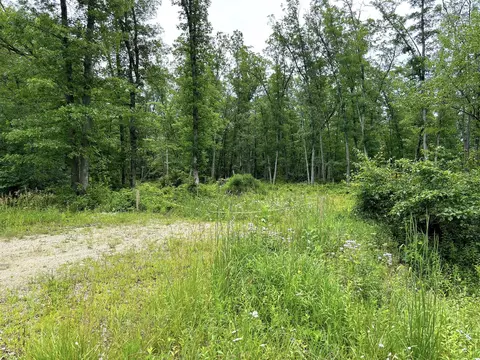 V/l 109th Ave, Pullman, MI 49450 photo 3