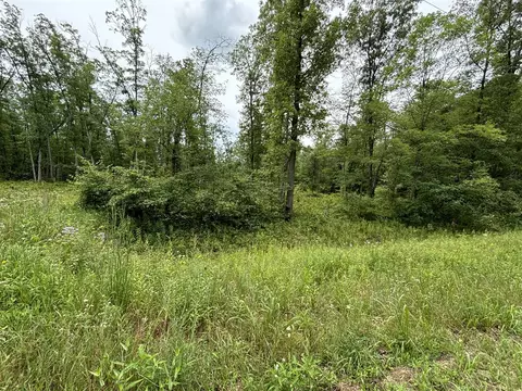 V/l 109th Ave, Pullman, MI 49450 photo 16