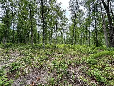 V/l 109th Ave, Pullman, MI 49450 photo 13