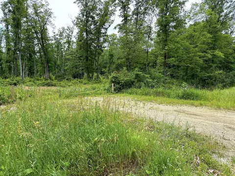 V/l 109th Ave, Pullman, MI 49450 photo 2