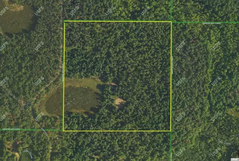 V/l Osborn, Bitely, MI 49309 photo 17