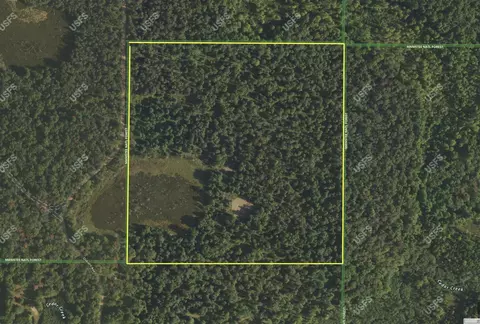 V/l Osborn, Bitely, MI 49309 photo 4