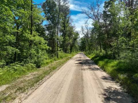 V/l Osborn, Bitely, MI 49309 photo 15