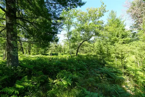 V/l Osborn, Bitely, MI 49309 photo 16