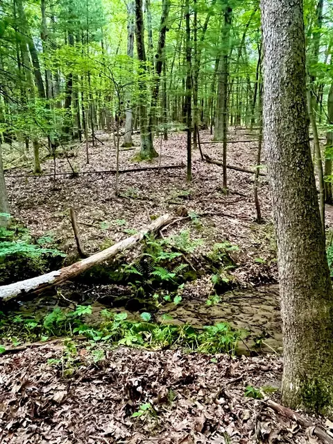 8420 Bailey #1, Ada, MI 49301 photo 2