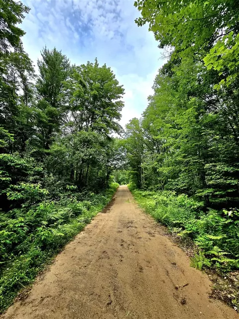 N 15th, Bitely, MI 49309