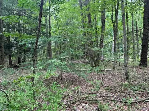 Lots 22-23 Cr-388, Grand Junction, MI 49056