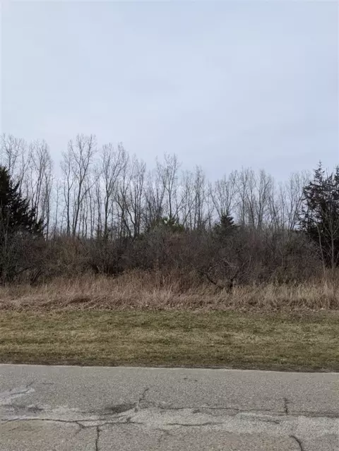 tbd E Main, Maple Rapids, MI 48853 photo 14