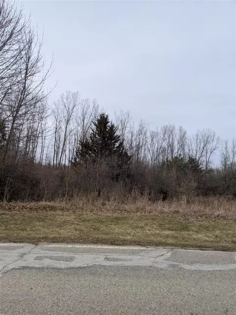 tbd E Main, Maple Rapids, MI 48853 photo 17