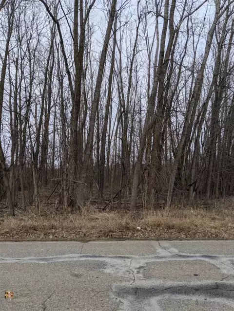 tbd E Main, Maple Rapids, MI 48853 photo 11