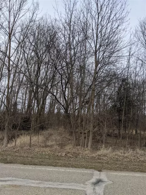 tbd E Main, Maple Rapids, MI 48853 photo 12