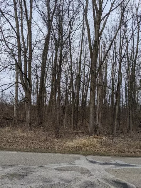 tbd E Main, Maple Rapids, MI 48853 photo 10