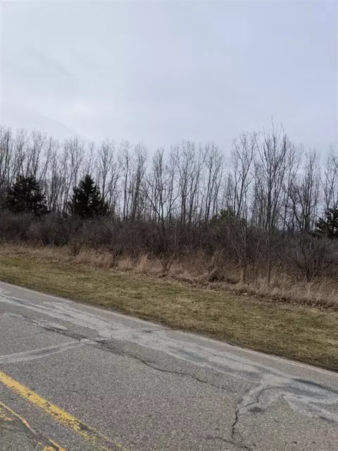 tbd E Main, Maple Rapids, MI 48853 photo 15