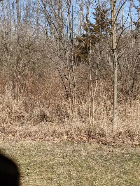 tbd E Main, Maple Rapids, MI 48853 photo 16
