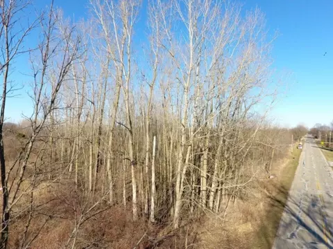 tbd E Main, Maple Rapids, MI 48853 photo 3