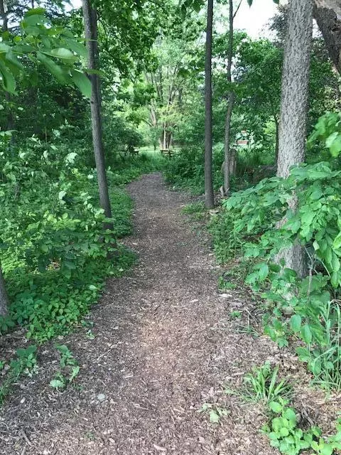 Other - 1274 Dogwood Mdws, Ada, MI 49301 photo 9 of 18