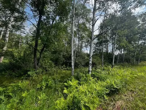 Vl - Par B 17 Mile, Bitely, MI 49309 photo 15
