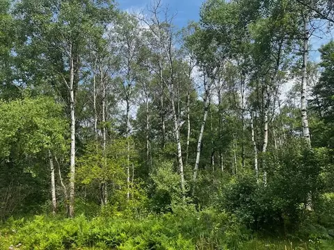 Vl - Par B 17 Mile, Bitely, MI 49309 photo 12