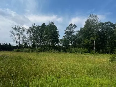 Vl - Par B 17 Mile, Bitely, MI 49309 photo 6