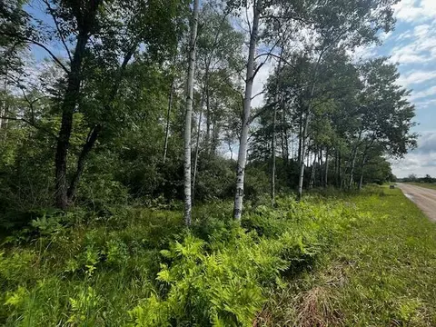 Vl - Par B 17 Mile, Bitely, MI 49309 photo 14