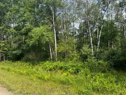 Vl - Par B 17 Mile, Bitely, MI 49309 photo 11